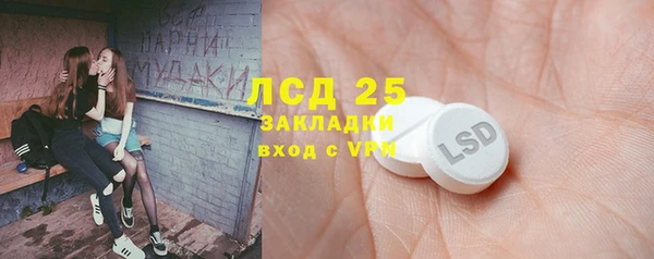 дживик Богородицк