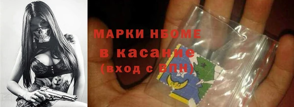 дживик Сясьстрой