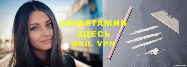 дживик Богородицк